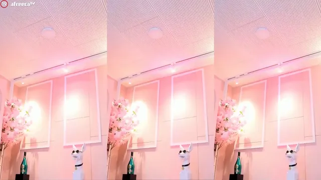 图片[4] - [Korean BJ] h920823 2023-12-23
