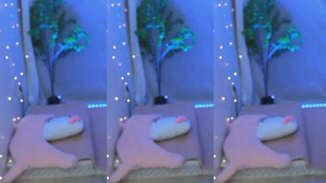 图片[10] - [Korean BJ] zzudyy 2024-12-10