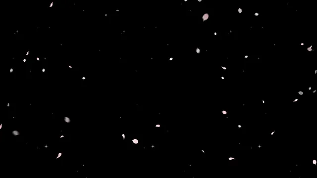 图片[2] - [Korean BJ] joahe2 2025-10-23