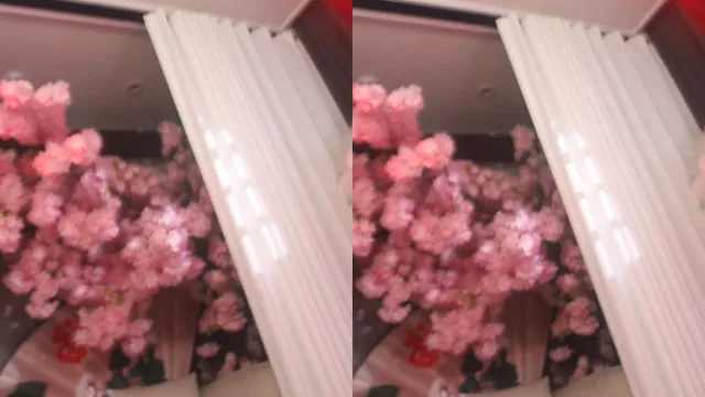 图片[5] - [Korean BJ] aesoon_96 2024-08-27