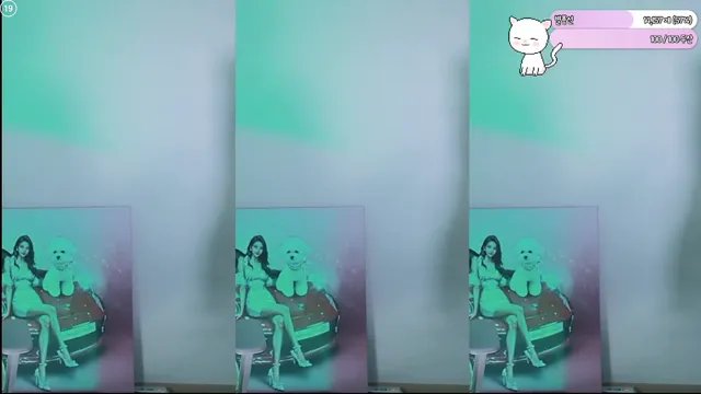 图片[6] - [Korean BJ] gpgpgpgpgpgp 2025-11-16