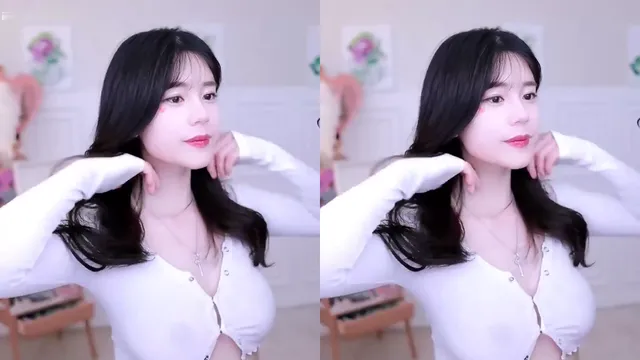 [Korean BJ] hjhj1004 2023-03-25