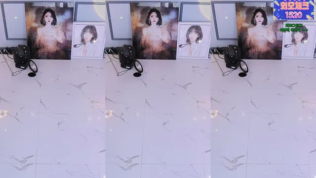 [Korean BJ] dign1461 2024-11-04
