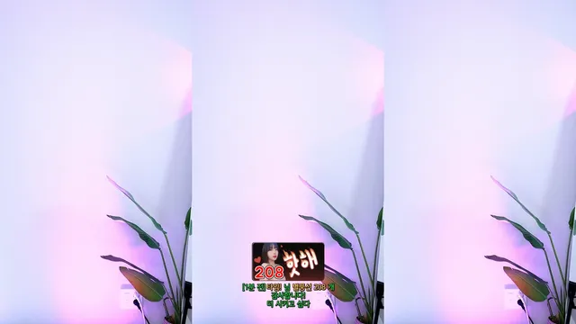 [Korean BJ] qkrgkdms01 2024-05-27