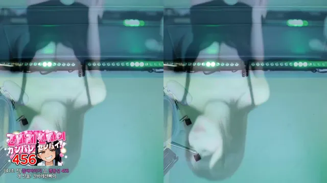 [Korean BJ] m0m099 2024-02-25