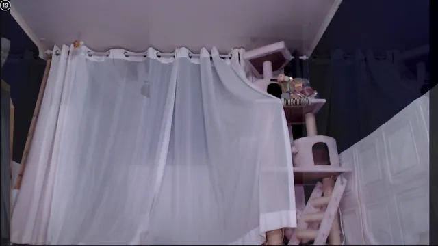 图片[1] - [Korean BJ] ulsandodud 2025-07-06