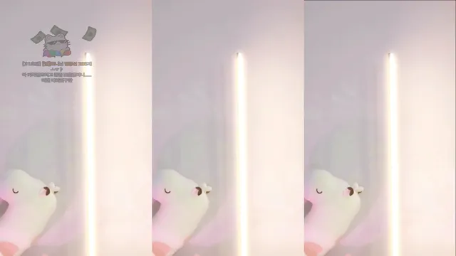 [Korean BJ] yesrin21 2025-03-19