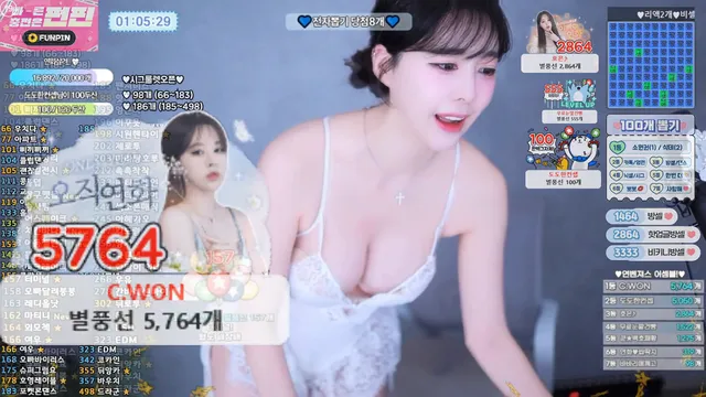 [Korean BJ] zzey33 2025-06-01
