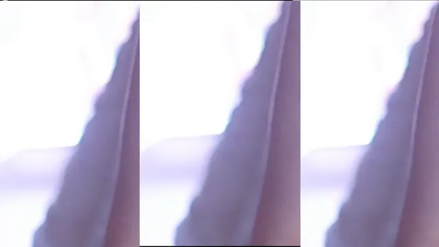 [Korean BJ] bks1004 2025-09-21