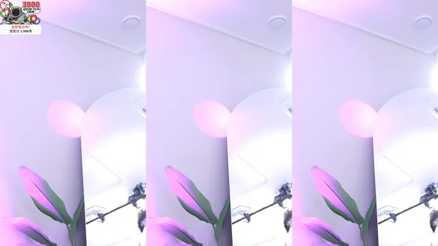 图片[5] - [Korean BJ] qkrgkdms01 2024-06-15